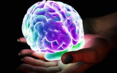 E3 2015: Inside Blane’s Brain