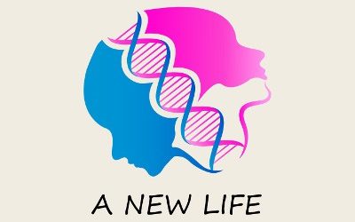 A New Life: The Road Less Traveled