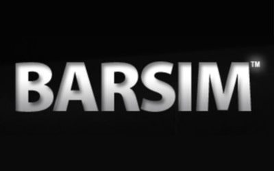 BarSim: Mixing It Up